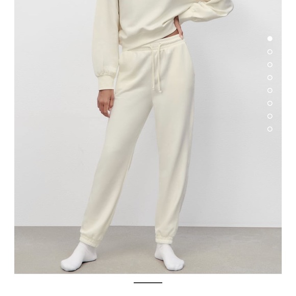 Zara Pants & Jumpsuits Zara Plush Jogging Pant Poshmark